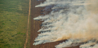 Foto: Christian Braga / Greenpeace