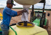 Agropecuária gera mais de 10 mil empregos em Mato Grosso e destaca Estado no cenário nacional