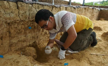 Novos fósseis na China podem reescrever história humana