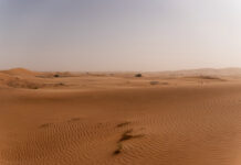 China transforma areia do deserto em solo fértil em 10 meses