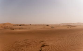 China transforma areia do deserto em solo fértil em 10 meses