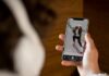 YouTube Shorts ganha interface mais limpa e fica a cara do TikTok