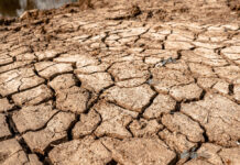 El Niño: Amazonas decreta alerta climático diante de cenário de seca e calor extremo