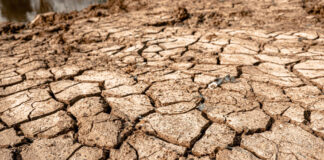 El Niño: Amazonas decreta alerta climático diante de cenário de seca e calor extremo