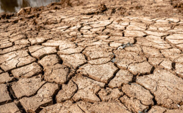 El Niño: Amazonas decreta alerta climático diante de cenário de seca e calor extremo