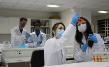 Nanotecnologia brasileira permite tratar doenças de pele com precisão