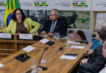 MCTI estuda criar centro de pesquisas sobre terras raras