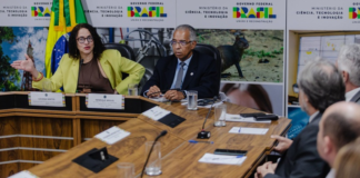 MCTI estuda criar centro de pesquisas sobre terras raras