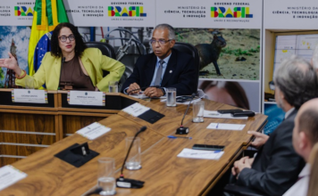 MCTI estuda criar centro de pesquisas sobre terras raras