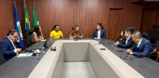 Grupo chinês avalia instalar usina para transformar lixo em energia em Mato Grosso
