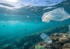 Havaí testa estradas feitas com plástico do oceano