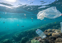 Havaí testa estradas feitas com plástico do oceano