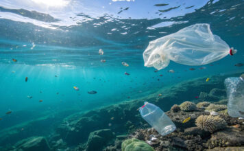 Havaí testa estradas feitas com plástico do oceano