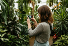 Inteligência artificial entra na corrida para salvar plantas da extinção