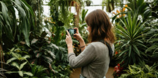 Inteligência artificial entra na corrida para salvar plantas da extinção