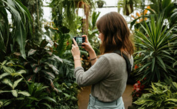 Inteligência artificial entra na corrida para salvar plantas da extinção