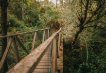 Greenwashing: como identificar falsas promessas antes de viajar