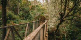 Greenwashing: como identificar falsas promessas antes de viajar