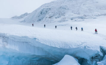 Pesquisadoras descobrem nova espécie de microrganismo adaptado a frio e calor extremos na Antártida