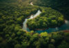 Amazônia pode ficar irreconhecível em 100 anos