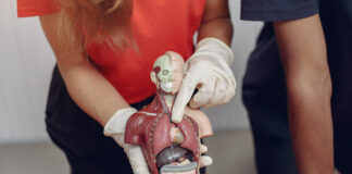 O que ainda não sabemos sobre o corpo humano
