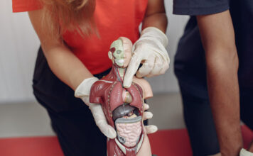 O que ainda não sabemos sobre o corpo humano