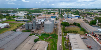 Indústria de Mato Grosso cresce 56% com ações do Governo do Estado e ambiente favorável aos negócios
