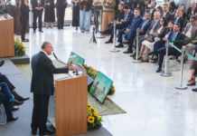 Plano Safra 2026/2027 amplia crédito para o agro e reforça papel da ciência e da inovação na modernização do campo