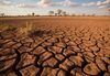 Desertificação no Brasil ameaça segurança hídrica e alimentar