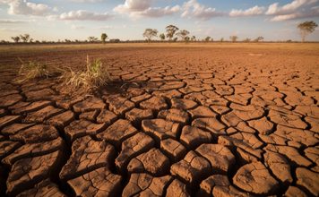 Desertificação no Brasil ameaça segurança hídrica e alimentar
