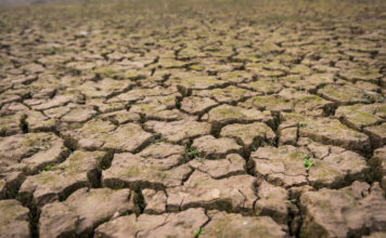 El Niño de 2026 pode ser o mais forte já visto no planeta
