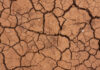 Desertificação do solo avança no Brasil e ameaça cerca de 39 milhões de pessoas