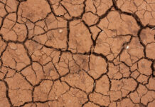 Desertificação do solo avança no Brasil e ameaça cerca de 39 milhões de pessoas