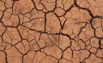 Desertificação do solo avança no Brasil e ameaça cerca de 39 milhões de pessoas