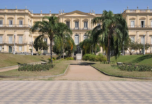 Fósseis mais antigos que dinossauros chegam ao Museu Nacional