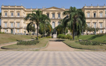 Fósseis mais antigos que dinossauros chegam ao Museu Nacional