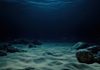 Pesquisadores encontram lixo a 3.820 metros e revelam o alcance da poluição no oceano profundo