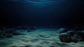 Pesquisadores encontram lixo a 3.820 metros e revelam o alcance da poluição no oceano profundo