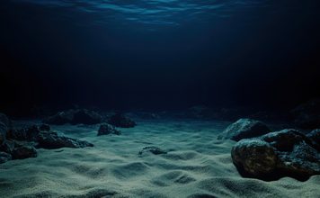 Pesquisadores encontram lixo a 3.820 metros e revelam o alcance da poluição no oceano profundo