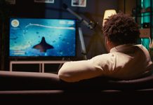 Smart TVs da LG podem mapear celulares e computadores na rede de casa, apontam testes