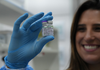 Vacina brasileira contra malária vivax recebe aval para testes em humanos