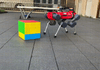 Robô de quatro patas resolve cubo mágico gigante em até nove minutos usando apenas os pés