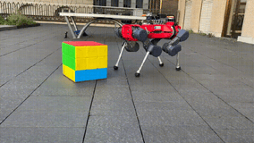 Robô de quatro patas resolve cubo mágico gigante em até nove minutos usando apenas os pés
